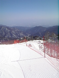 平日スキー