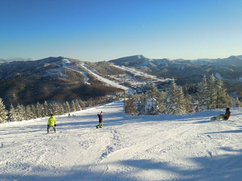 先週の焼額山