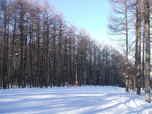 白樺高原国際スキー場