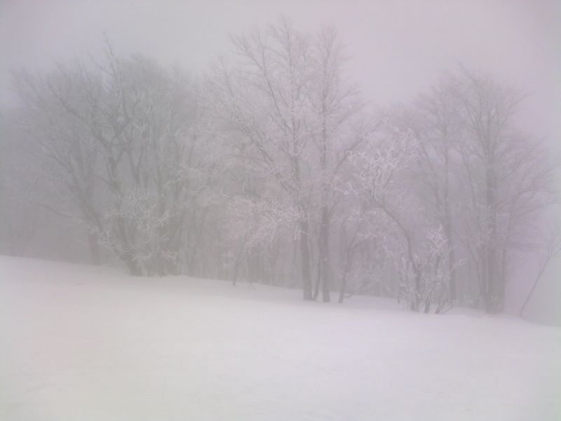 猫魔スキー場の幻想的霧氷
