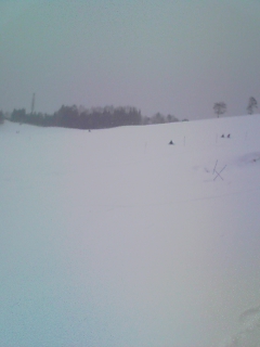 大雪の中、荘川高原にてスキー満喫！