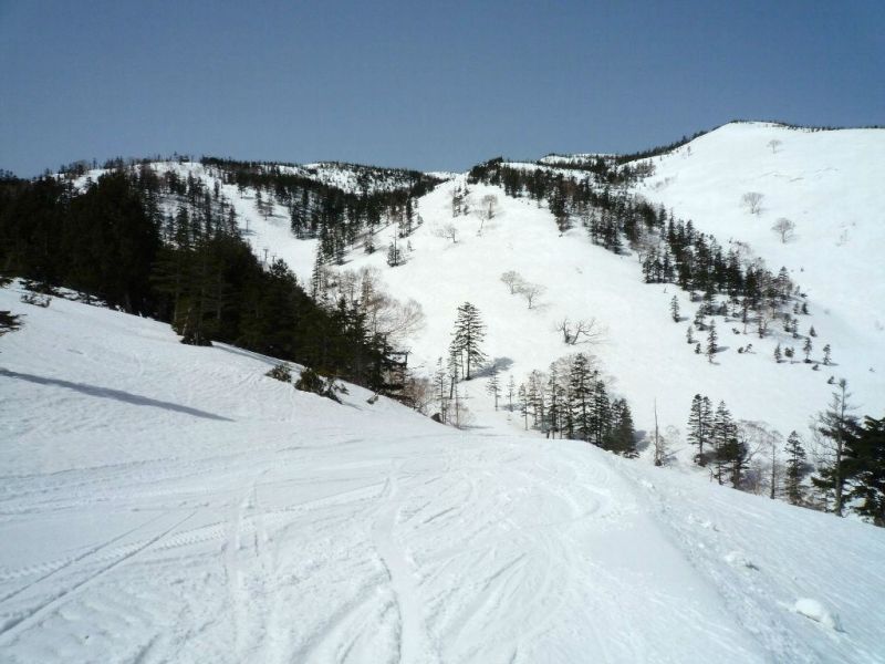 雪質良かったです。