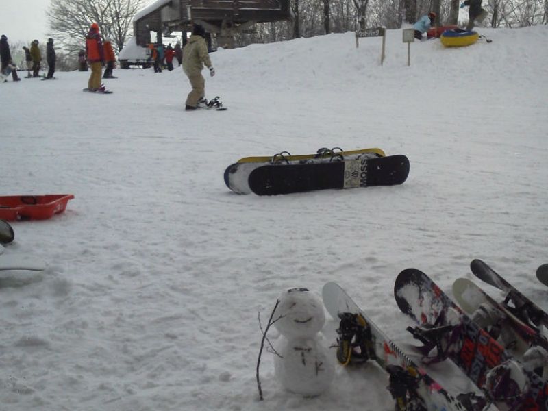 新雪が積もりました。
